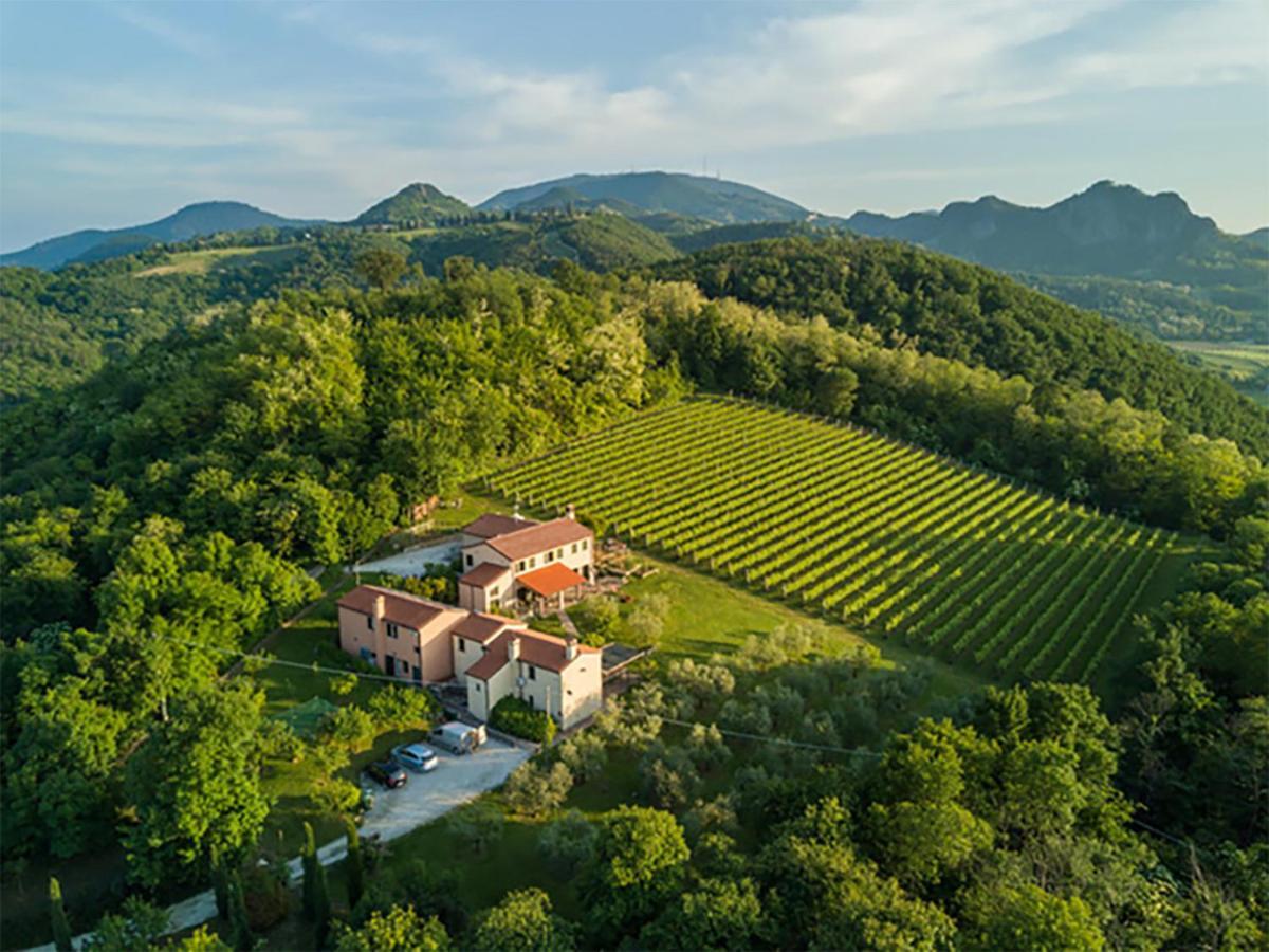 Apartamento Agriturismo Terre Bianche Teolo Exterior foto