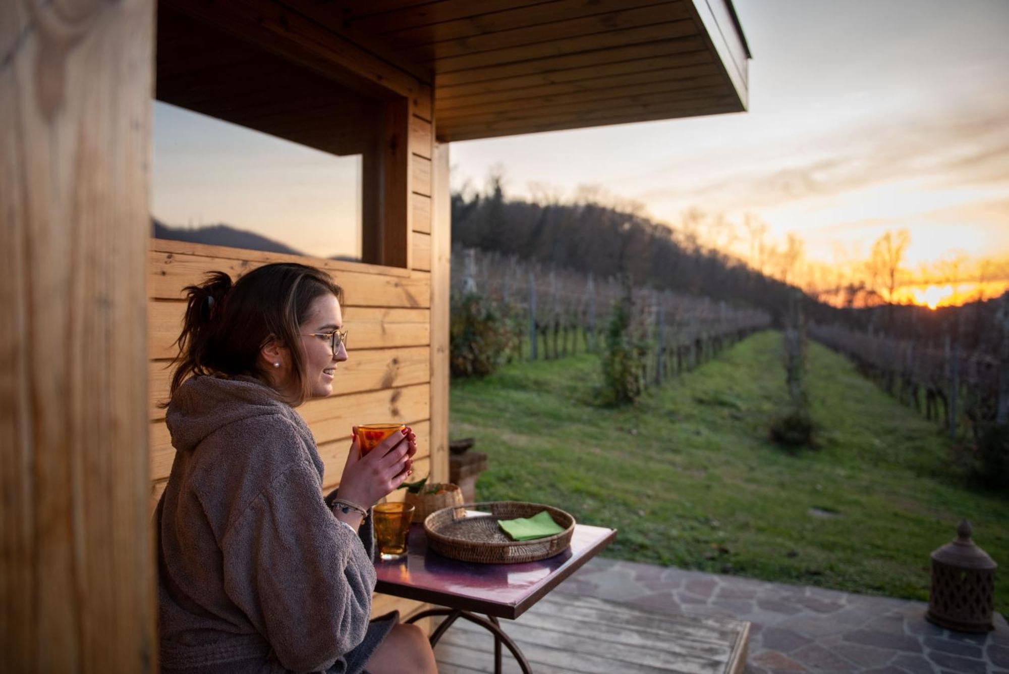 Apartamento Agriturismo Terre Bianche Teolo Exterior foto