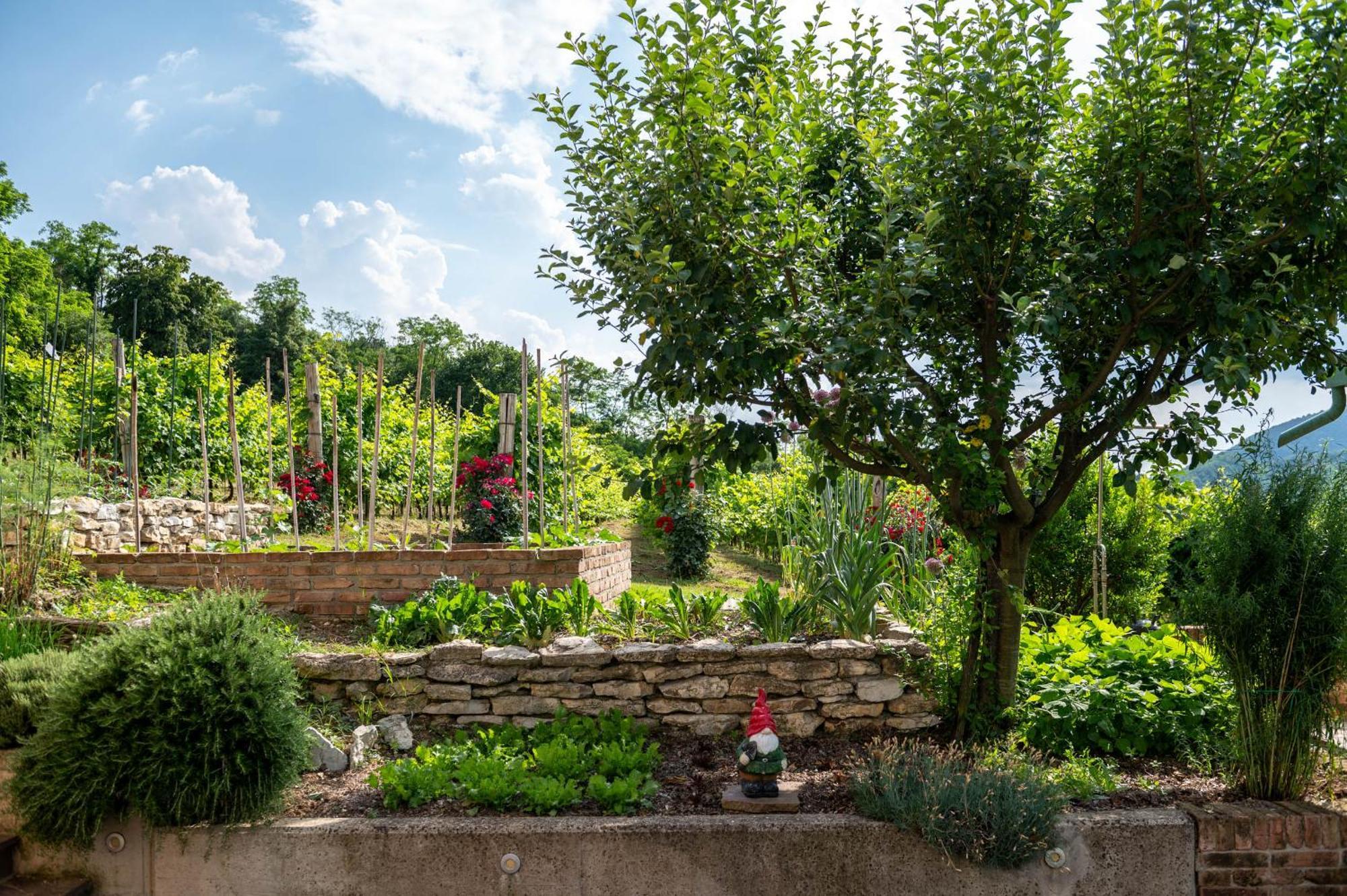 Apartamento Agriturismo Terre Bianche Teolo Exterior foto