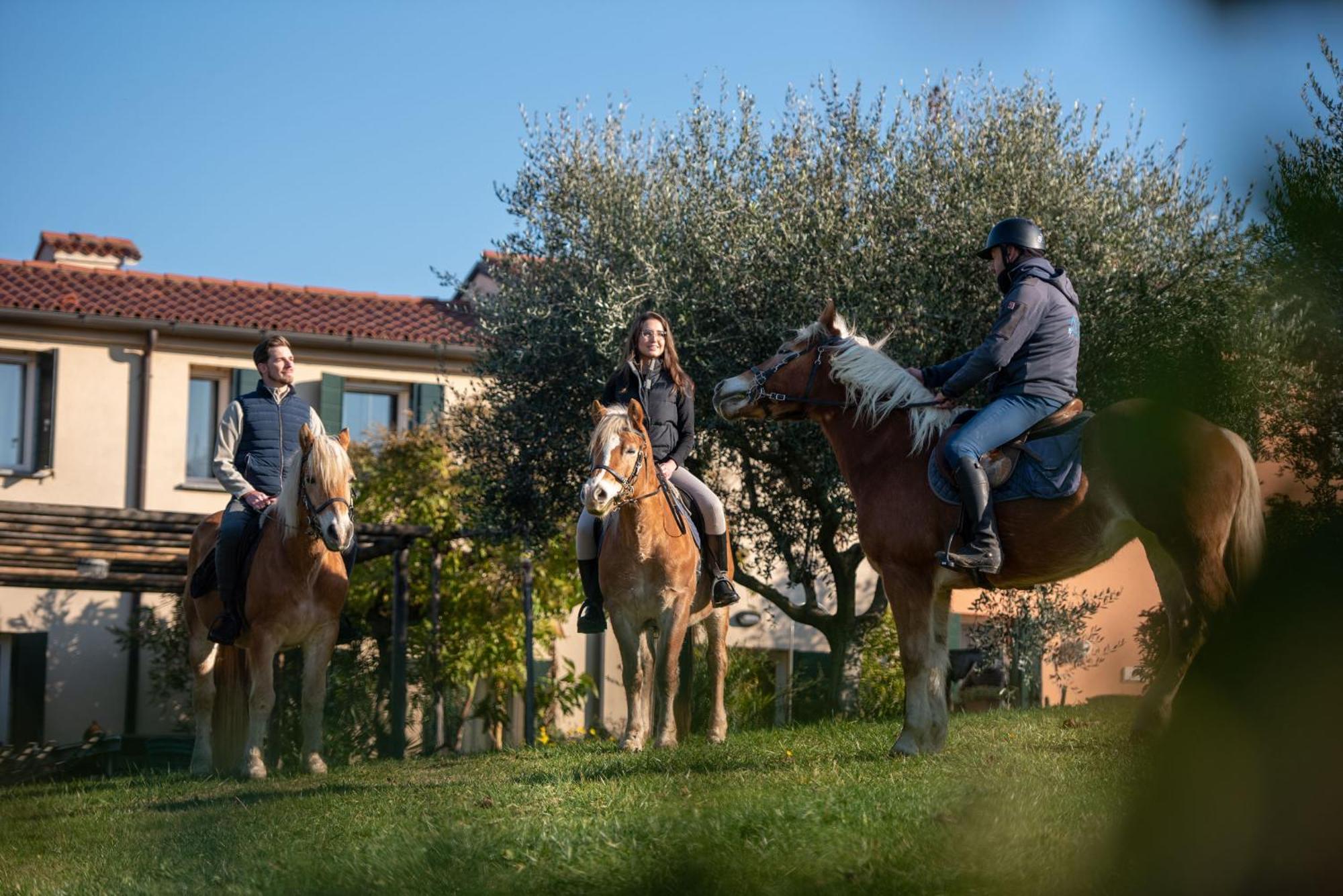 Apartamento Agriturismo Terre Bianche Teolo Exterior foto